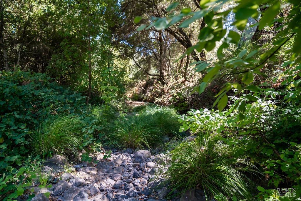 0 Mount Veeder Road St. Helena CA 94574