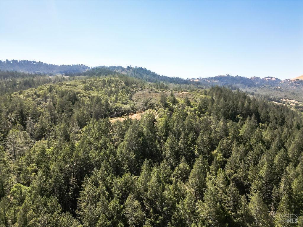 0 Mount Veeder Road St. Helena CA 94574
