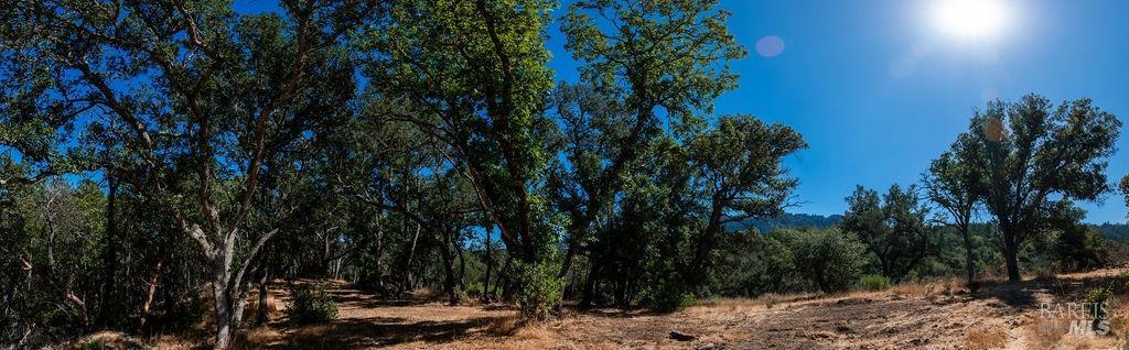 0 Mount Veeder Road St. Helena CA 94574
