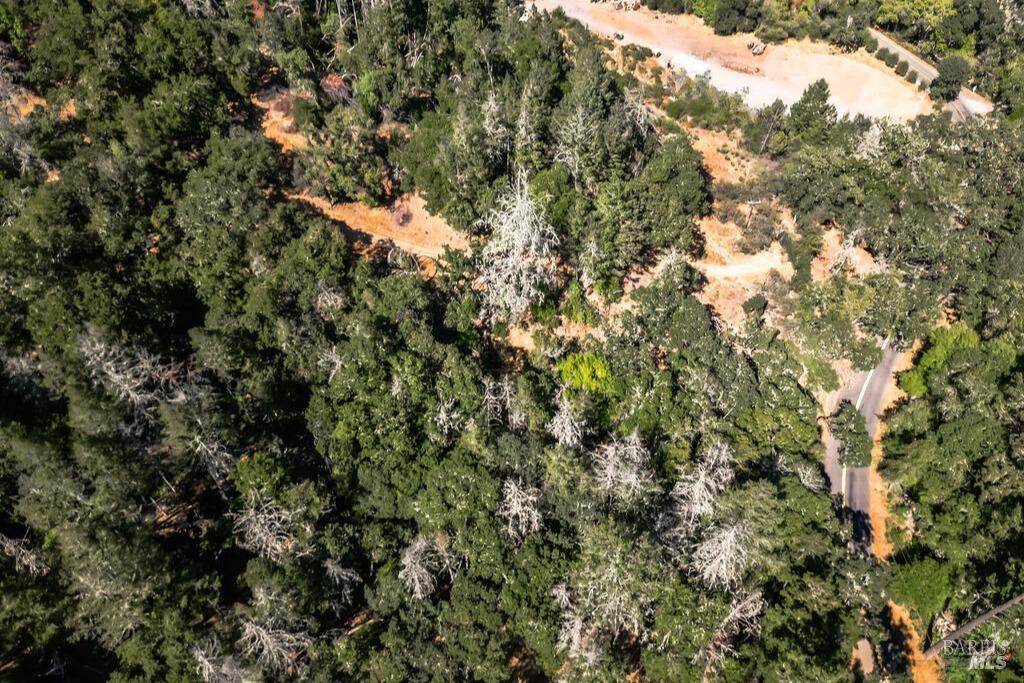 0 Mount Veeder Road St. Helena CA 94574