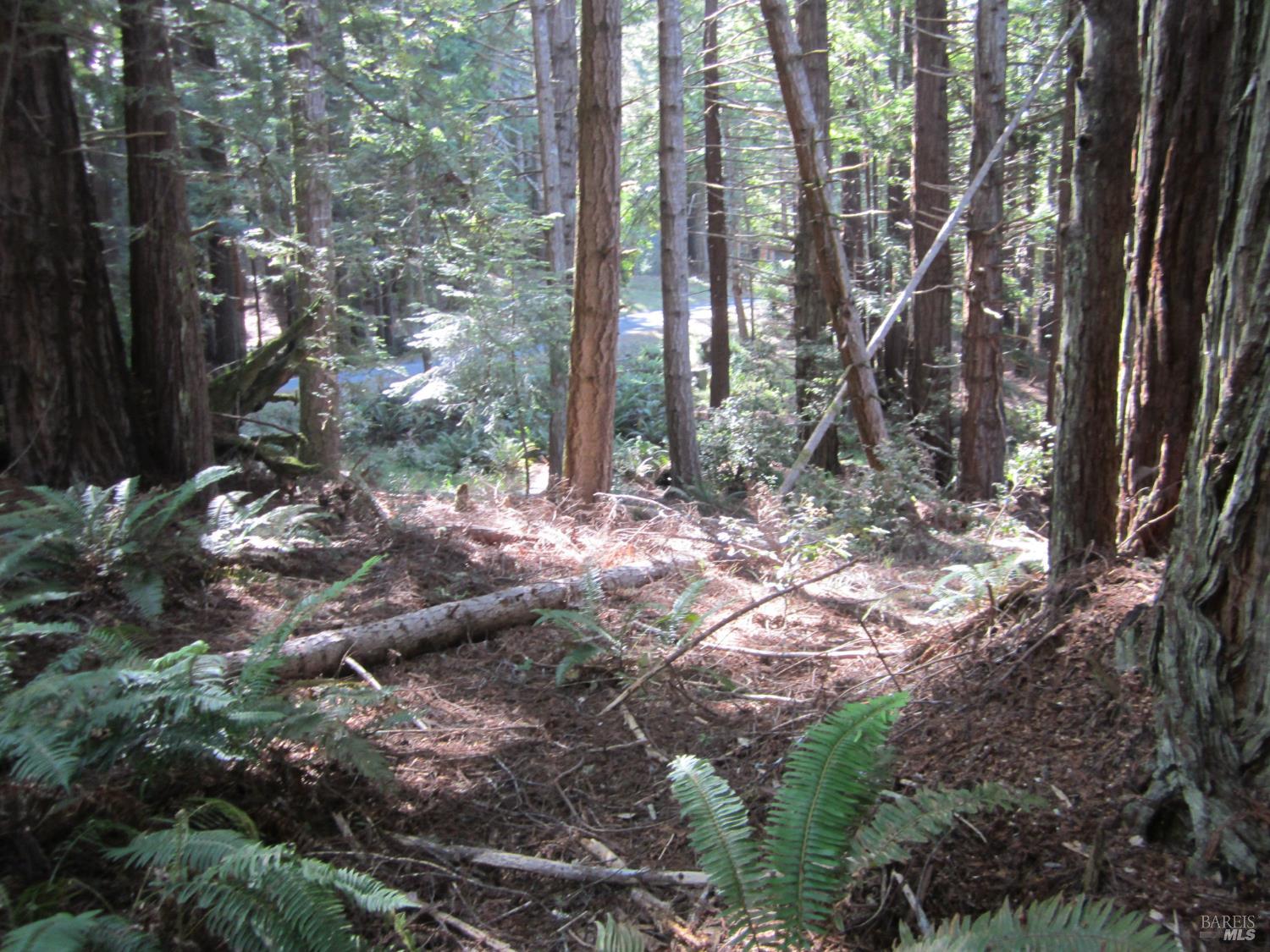398 Packet Close Road The Sea Ranch CA 95497