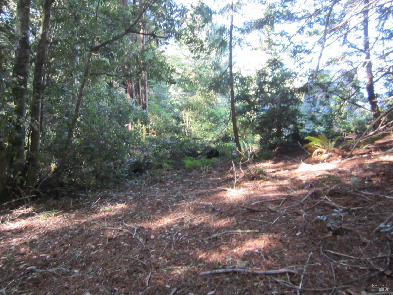 398 Packet Close Road The Sea Ranch CA 95497