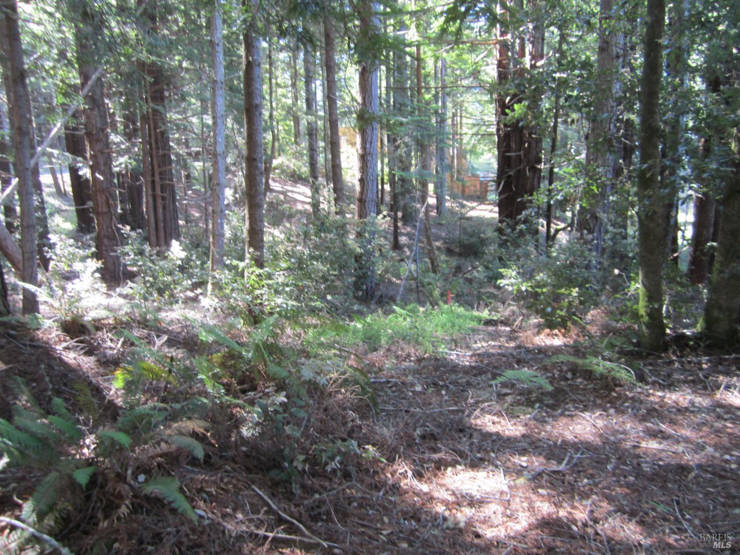 398 Packet Close Road The Sea Ranch CA 95497