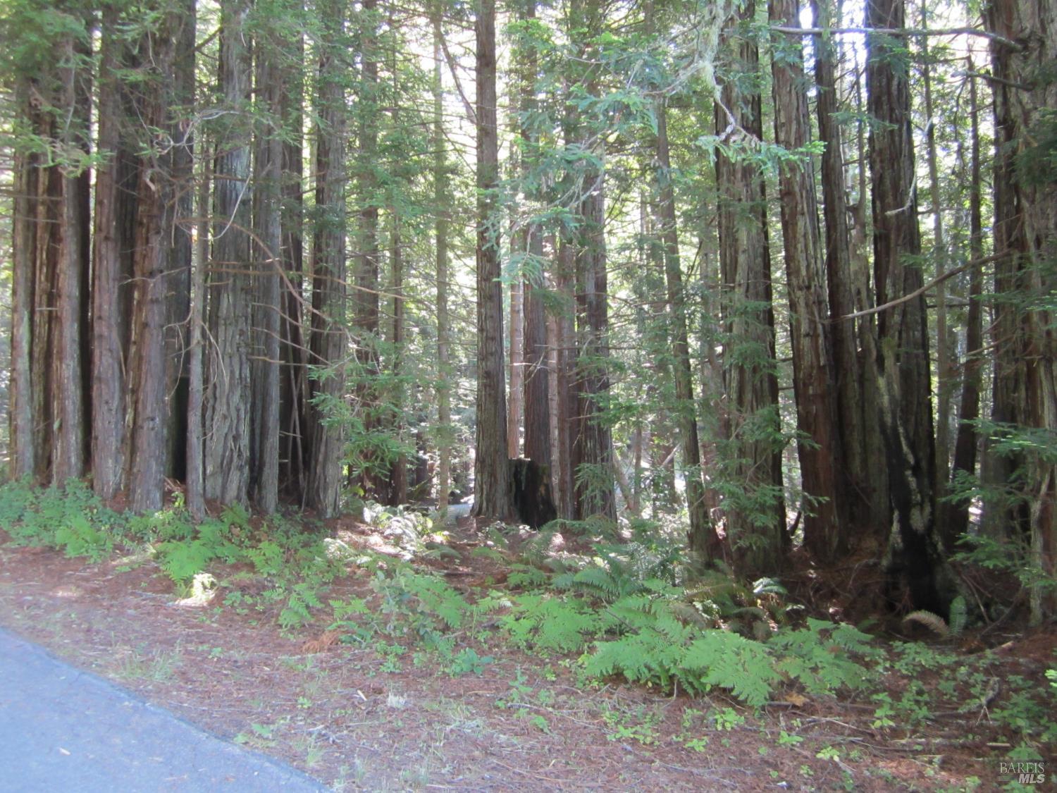 398 Packet Close Road The Sea Ranch CA 95497