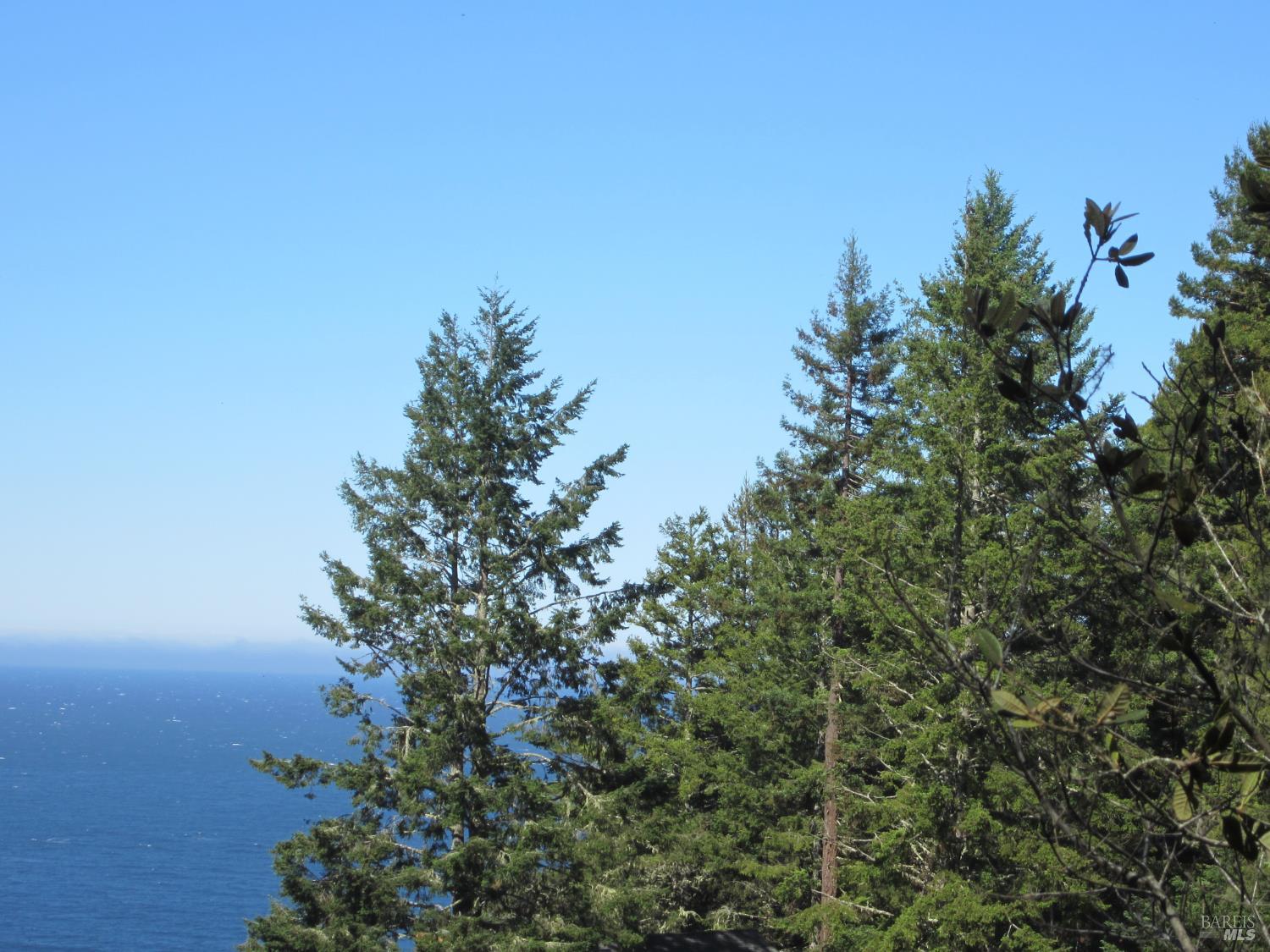398 Packet Close Road The Sea Ranch CA 95497