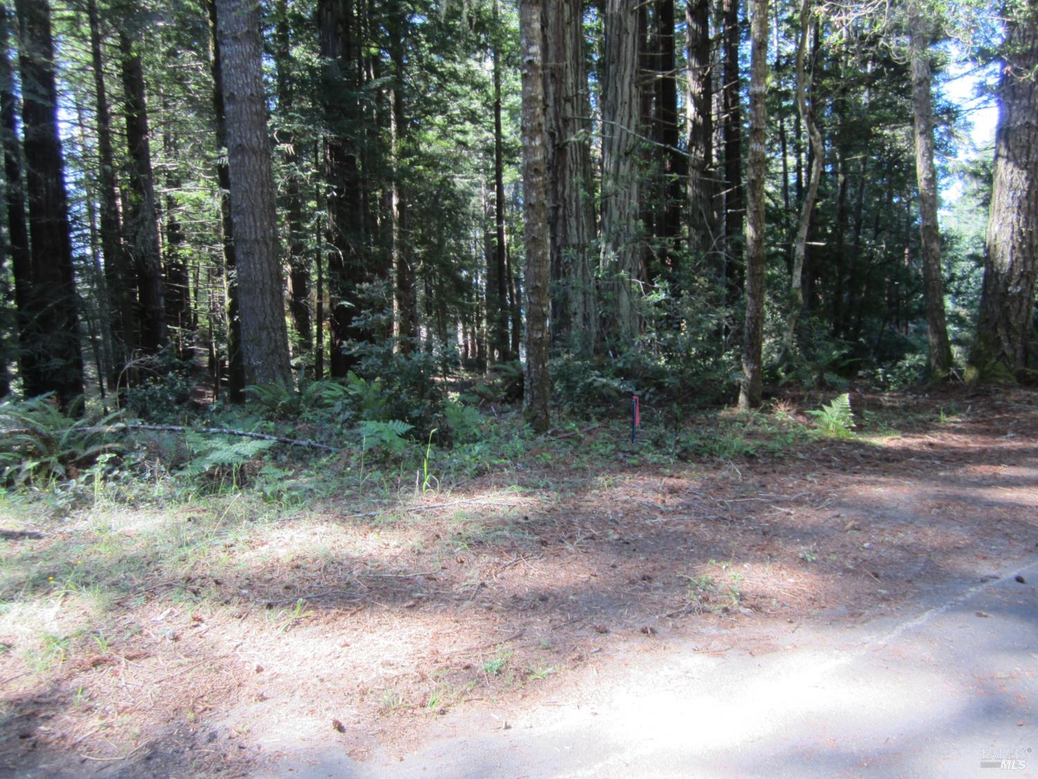 398 Packet Close Road The Sea Ranch CA 95497