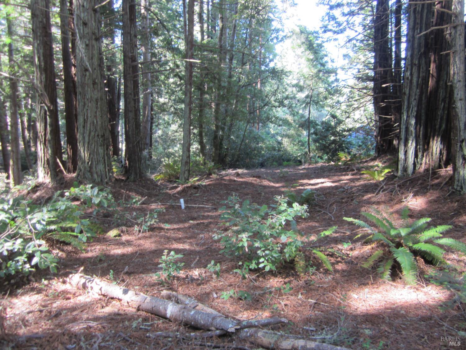 398 Packet Close Road The Sea Ranch CA 95497