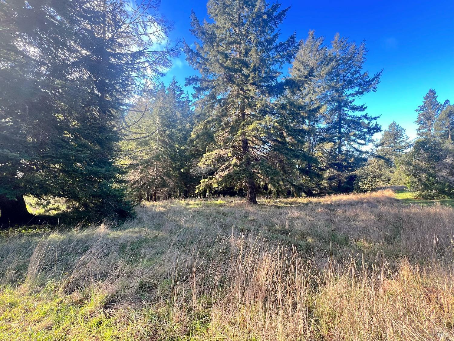 38065 Foothill Close The Sea Ranch CA 95497