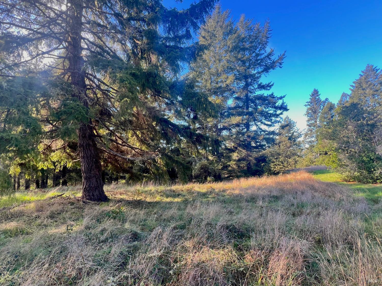 38065 Foothill Close The Sea Ranch CA 95497