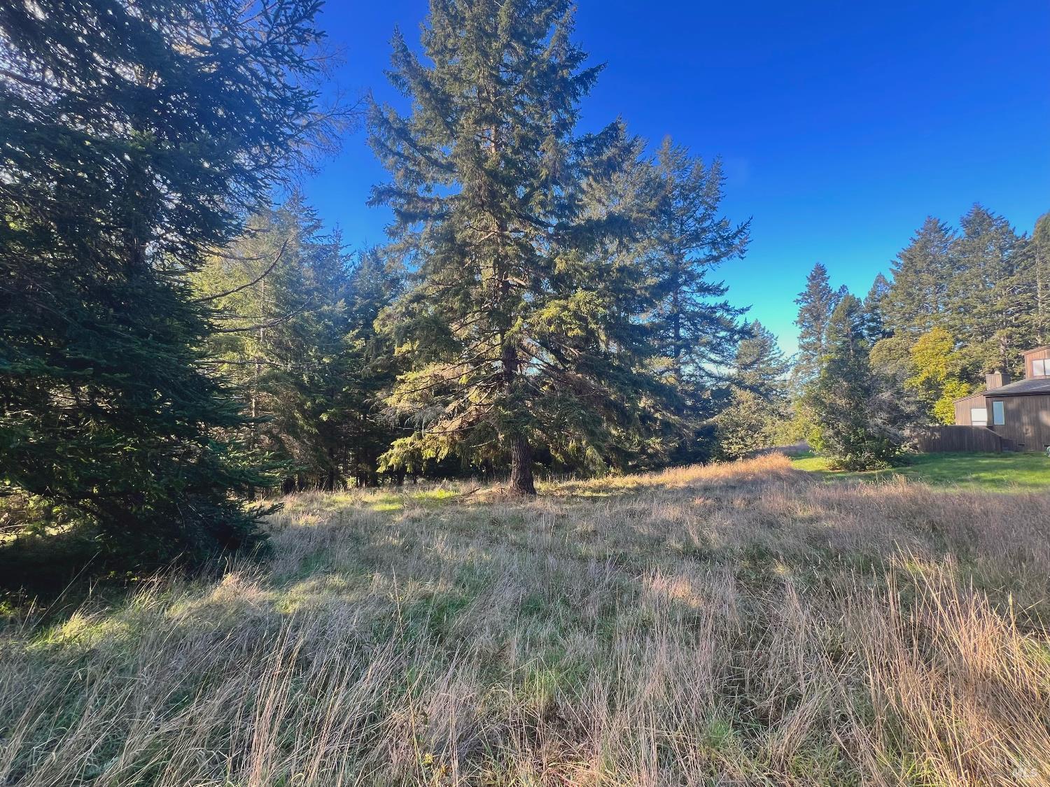 38065 Foothill Close The Sea Ranch CA 95497