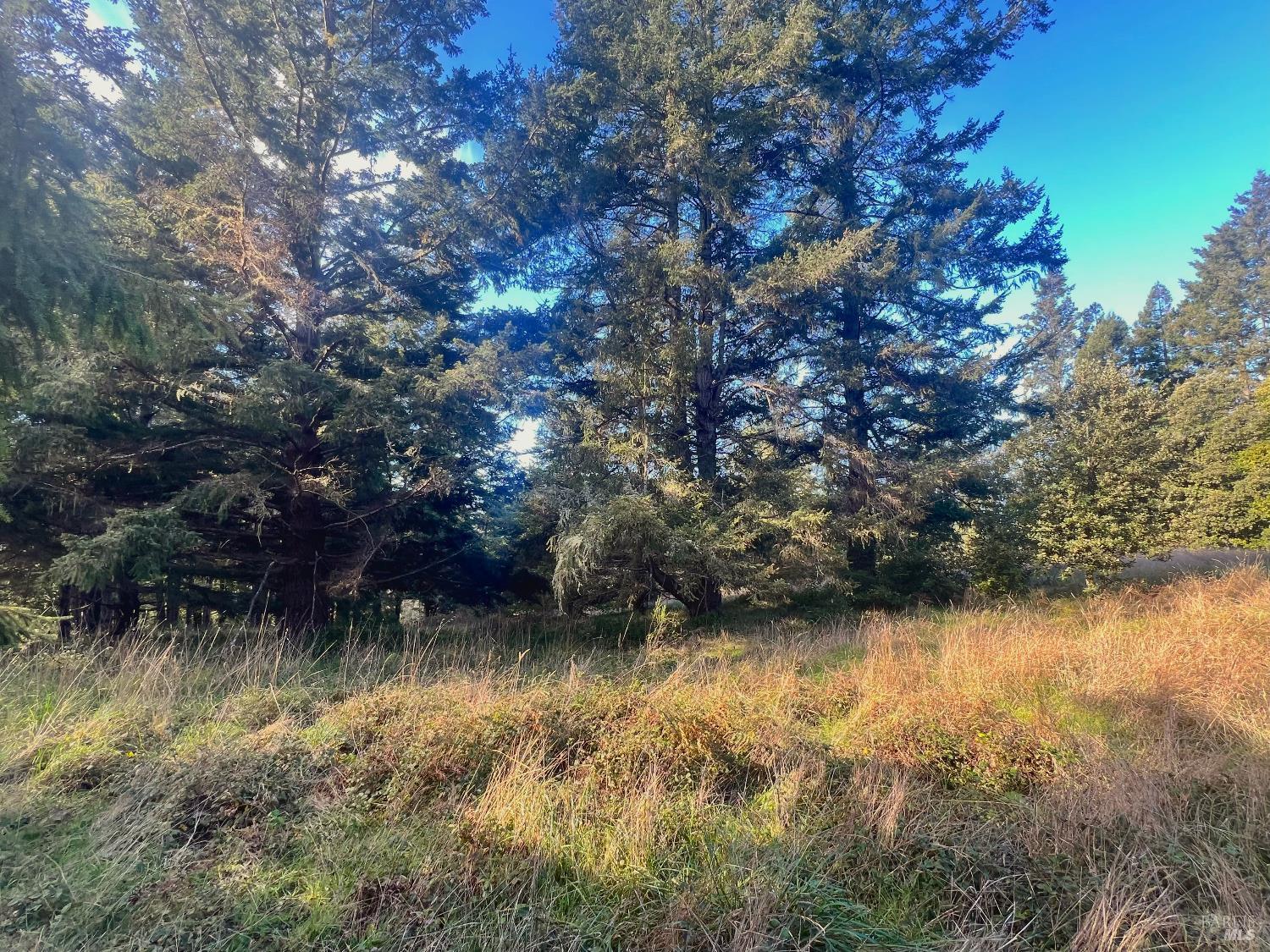 38065 Foothill Close The Sea Ranch CA 95497