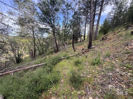9670 Venturi Drive Cobb CA 95461