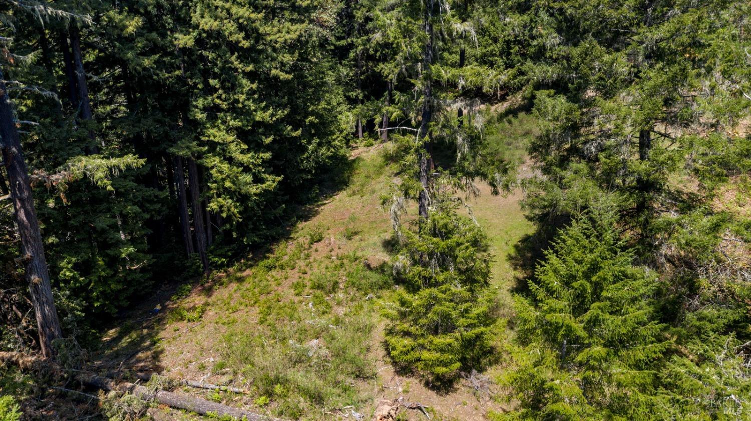 24680 Brooktrails Drive Willits CA 95490