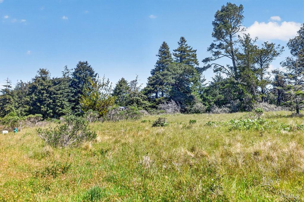 35604 Timber Ridge Road The Sea Ranch CA 95497