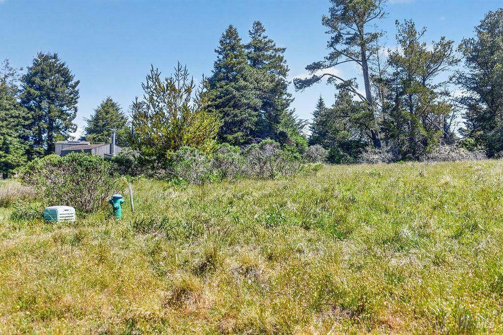 35604 Timber Ridge Road The Sea Ranch CA 95497