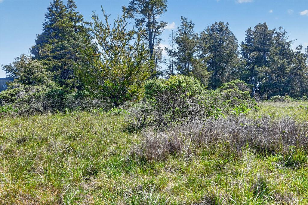 35604 Timber Ridge Road The Sea Ranch CA 95497