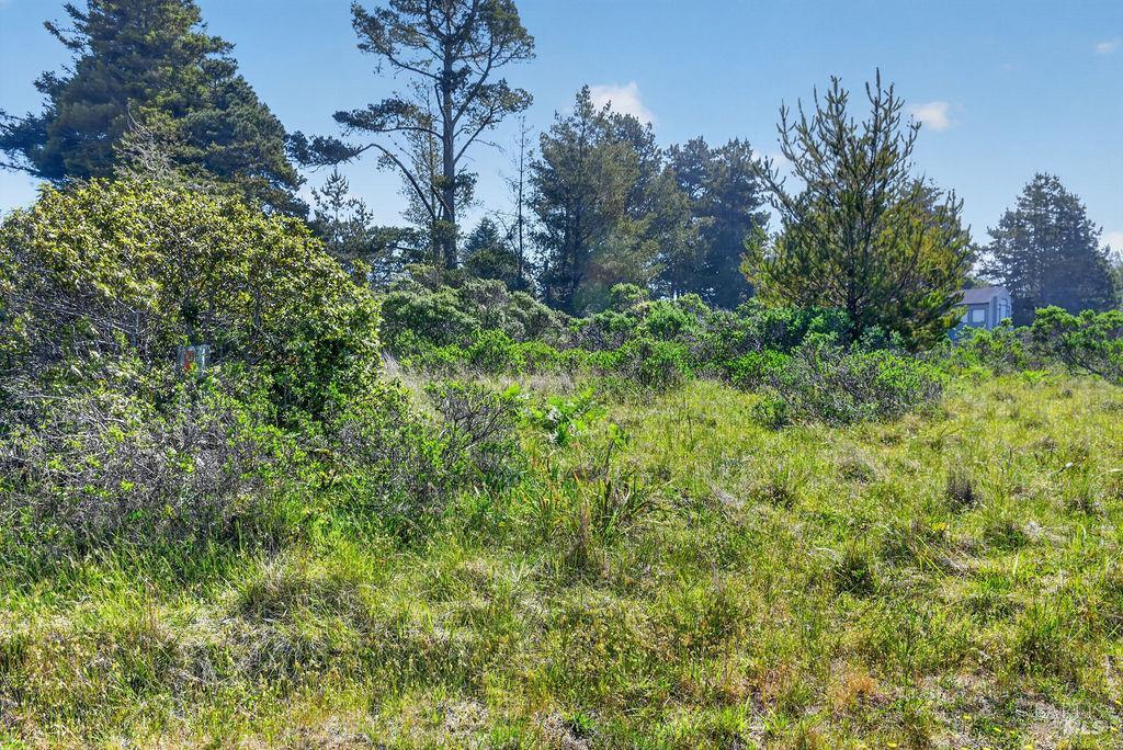 35604 Timber Ridge Road The Sea Ranch CA 95497
