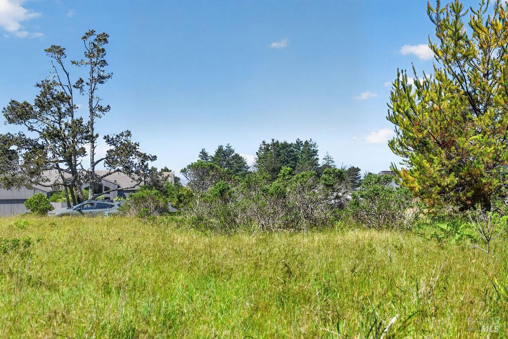 35604 Timber Ridge Road The Sea Ranch CA 95497