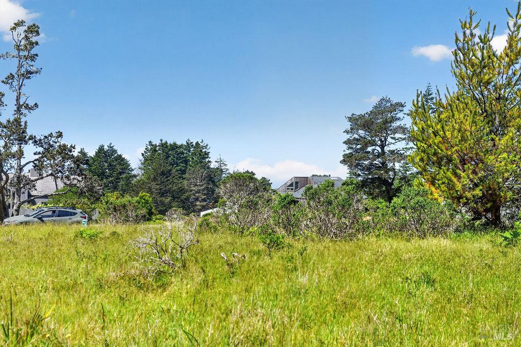 35604 Timber Ridge Road The Sea Ranch CA 95497