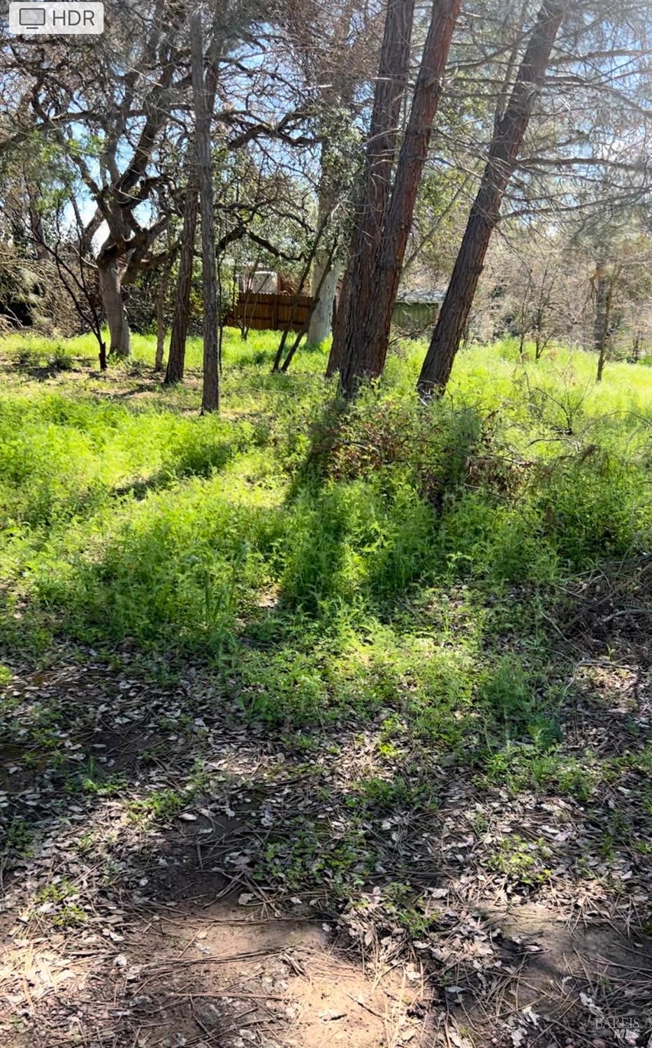 16087 41st Avenue Clearlake CA 95422