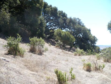 1700 SE Warrington Road SE Santa Rosa CA 95404