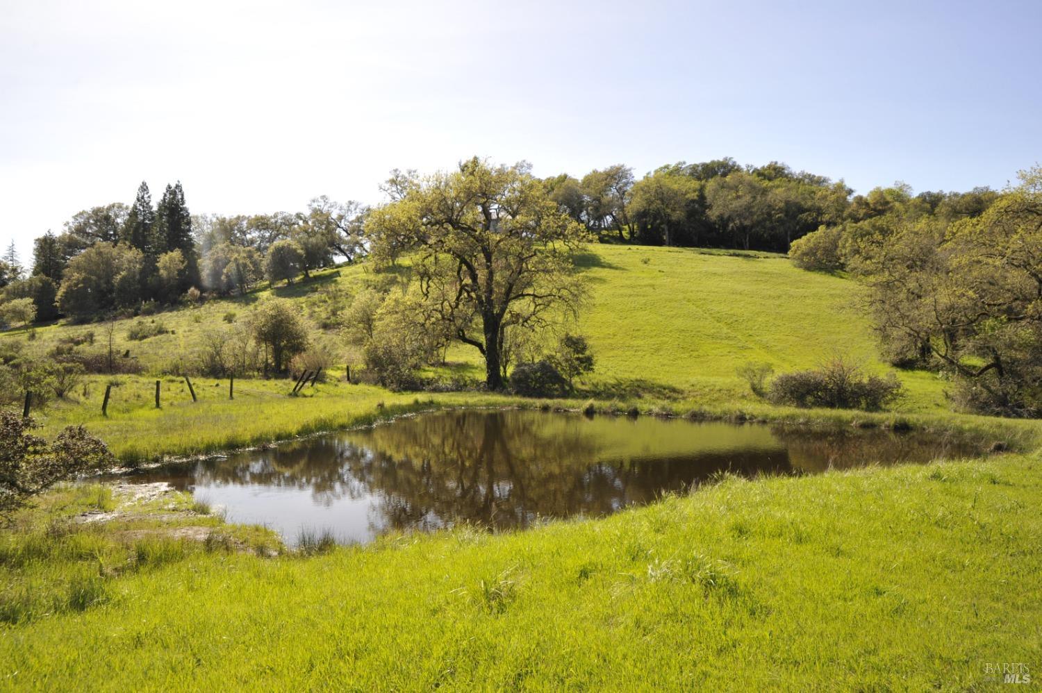 1640 Canyon Run Healdsburg CA 95448