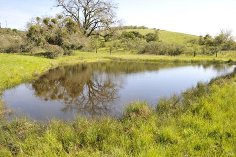 1640 Canyon Run Healdsburg CA 95448