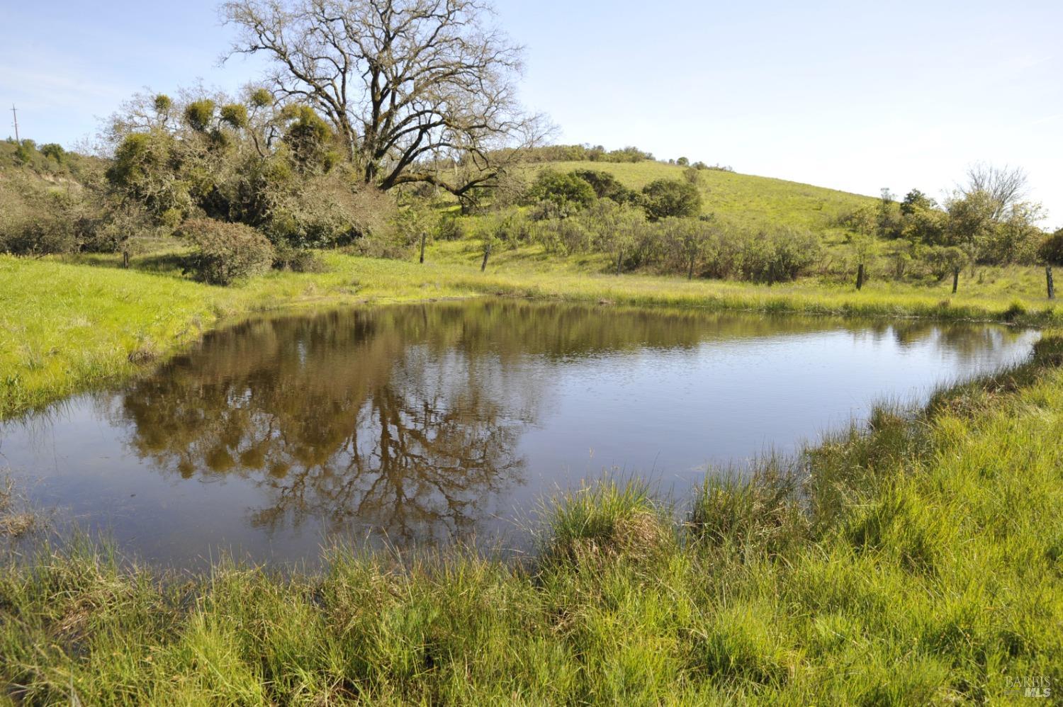 1640 Canyon Run Healdsburg CA 95448
