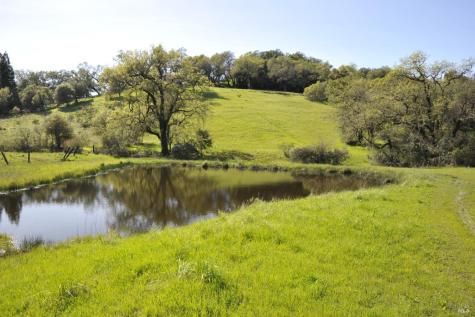 1640 Canyon Run Healdsburg CA 95448