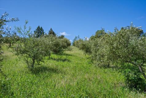 1077 Westside Road Healdsburg CA 95448