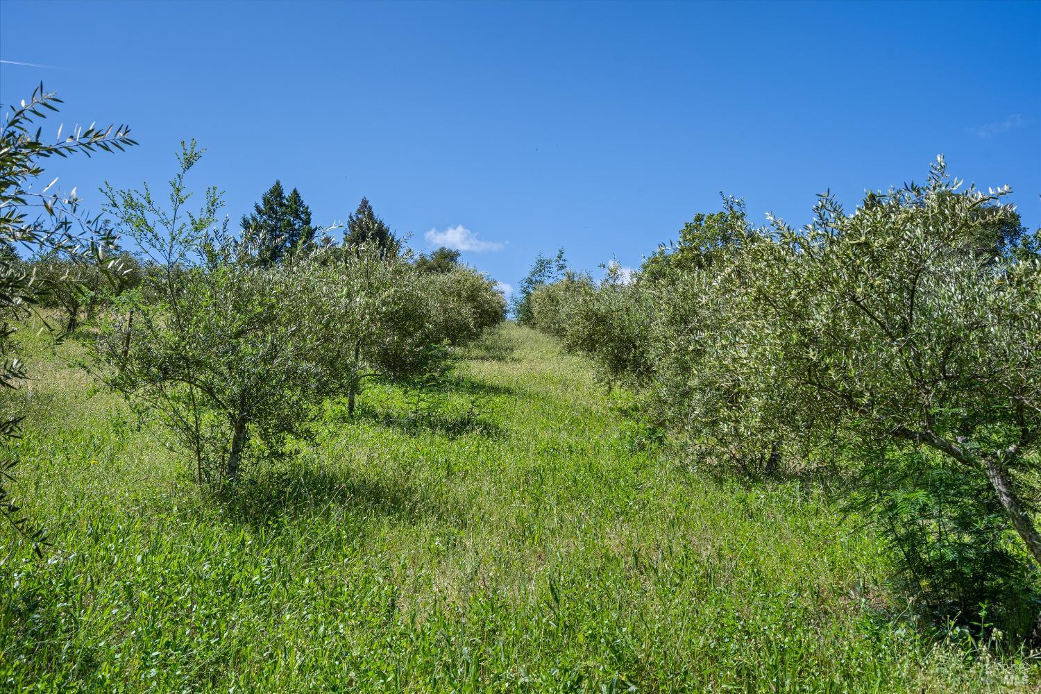 1077 Westside Road Healdsburg CA 95448