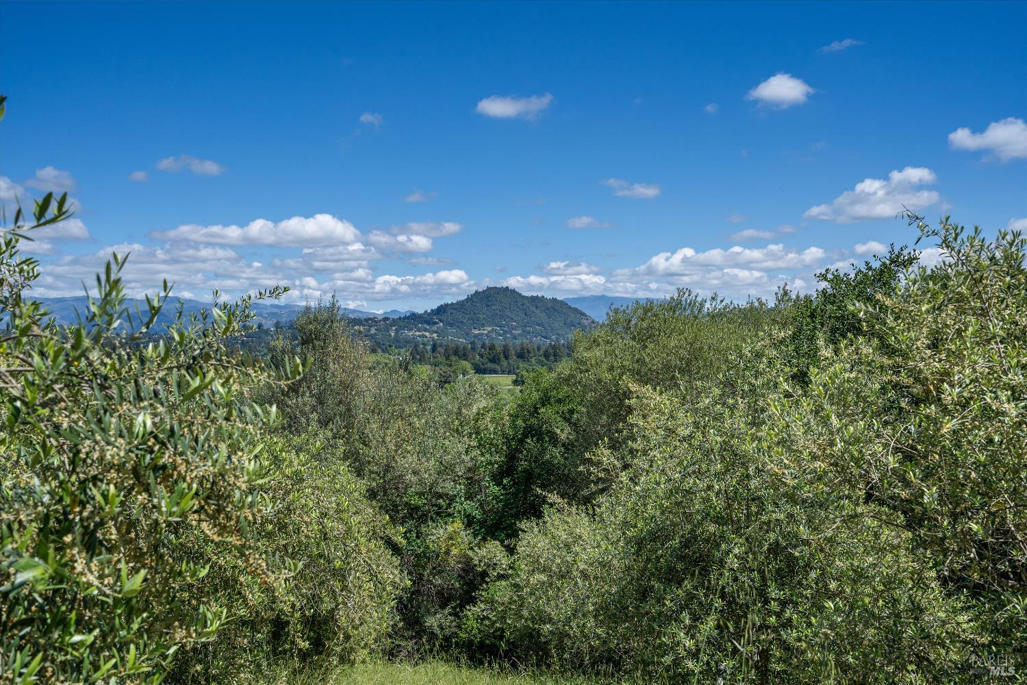 1077 Westside Road Healdsburg CA 95448