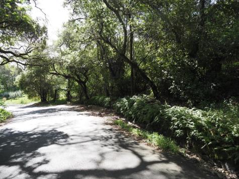 1077 Westside Road Healdsburg CA 95448