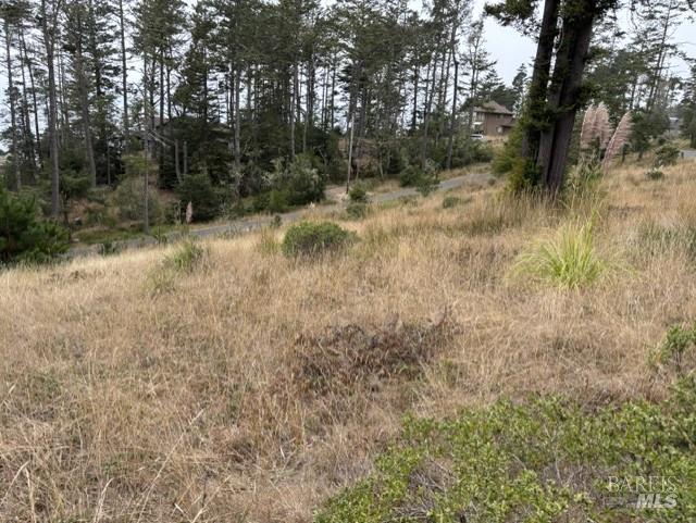 22101 Cypress Court Timber Cove CA 95450