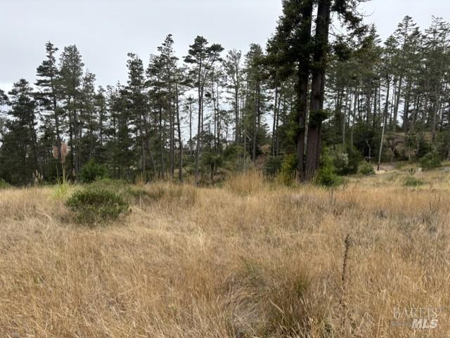 22101 Cypress Court Timber Cove CA 95450