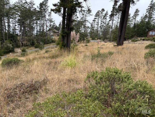22101 Cypress Court Timber Cove CA 95450