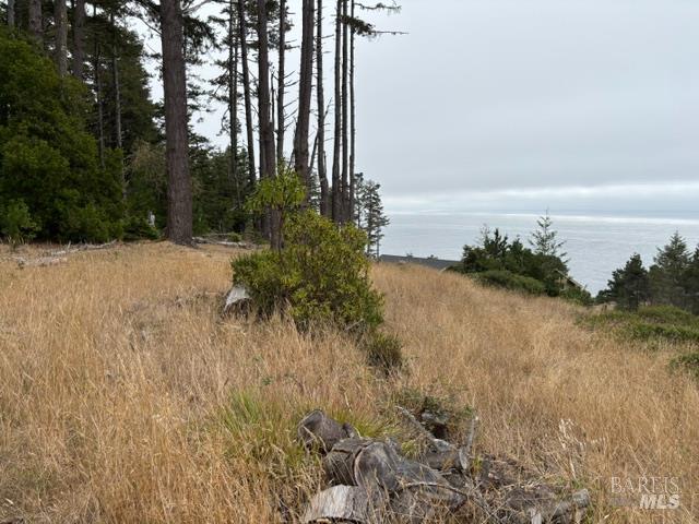 22101 Cypress Court Timber Cove CA 95450