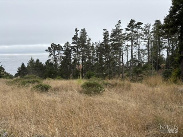 22101 Cypress Court Timber Cove CA 95450