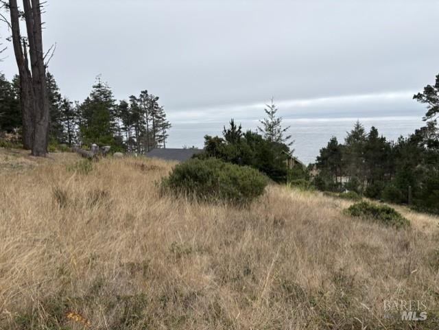 22101 Cypress Court Timber Cove CA 95450