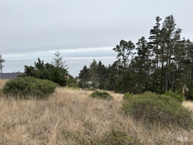 22101 Cypress Court Timber Cove CA 95450