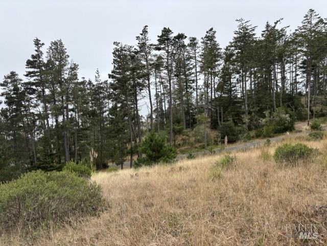 22101 Cypress Court Timber Cove CA 95450