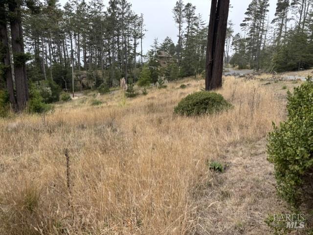 22101 Cypress Court Timber Cove CA 95450