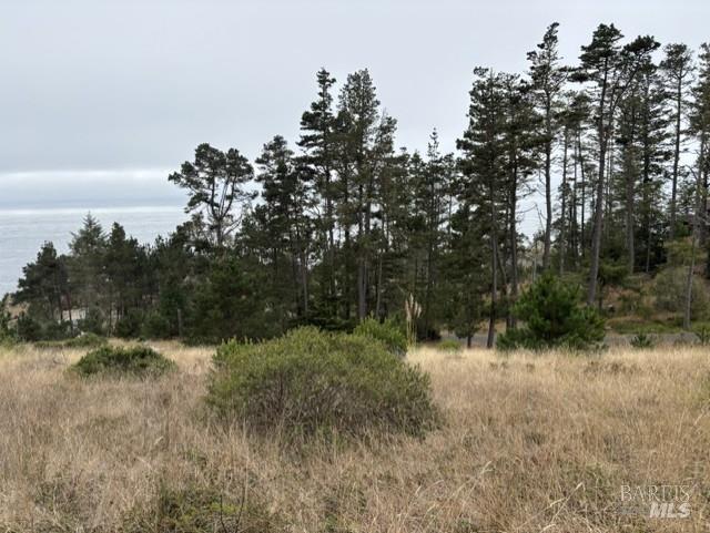 22101 Cypress Court Timber Cove CA 95450