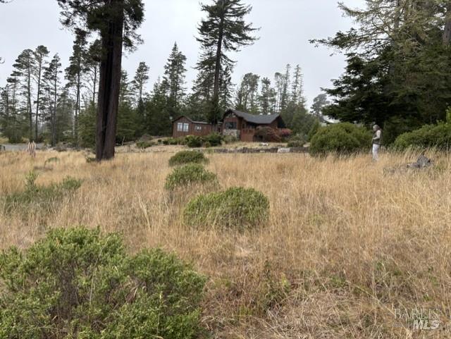 22101 Cypress Court Timber Cove CA 95450