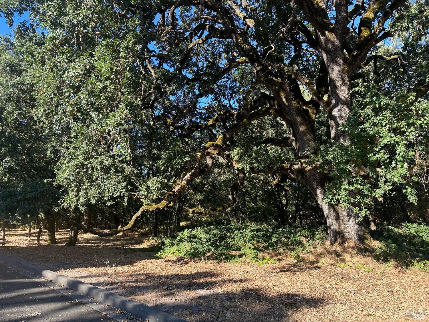 200-250 Napa Road Sonoma CA 95476