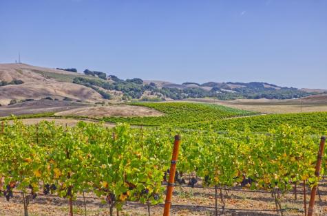 1450 Stage Gulch Road Petaluma CA 94954