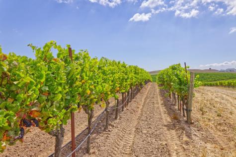 1450 Stage Gulch Road Petaluma CA 94954