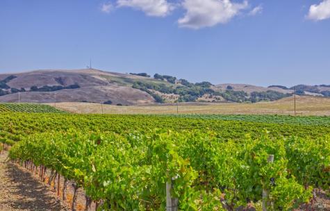 1450 Stage Gulch Road Petaluma CA 94954