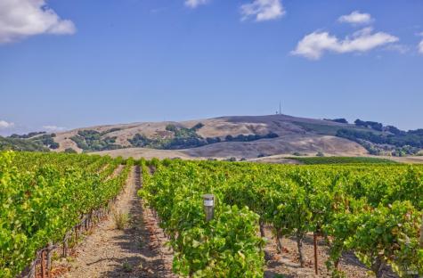 1450 Stage Gulch Road Petaluma CA 94954