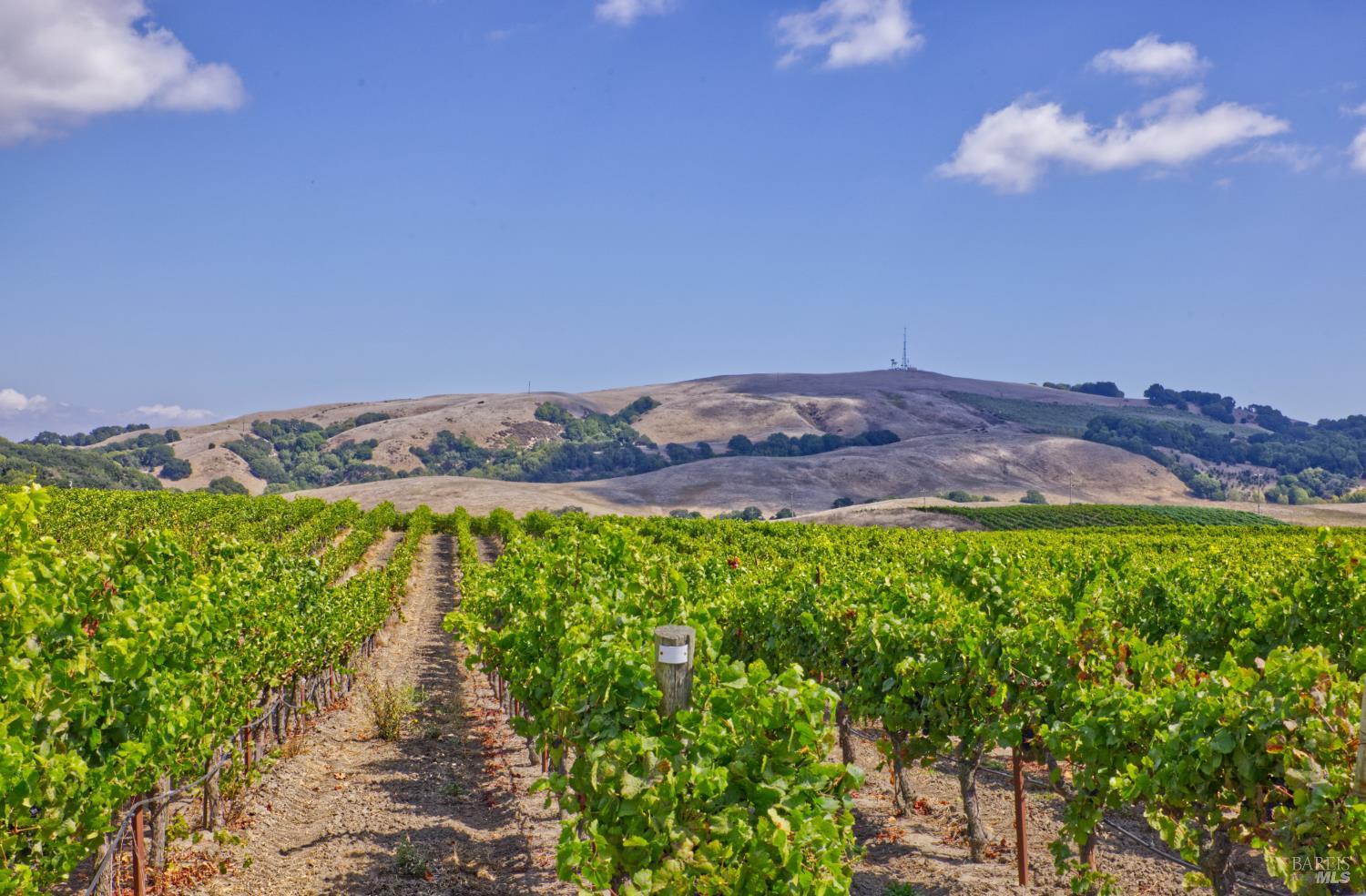 1450 Stage Gulch Road Petaluma CA 94954